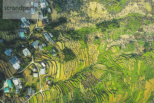Drohnenansicht von Reisterrassen; Provinz Ha Giang  Vietnam