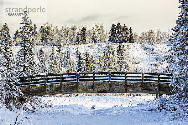 Holzbrücke über einen schneebedeckten Bach mit vereisten Bäumen und schneebedeckten Hügeln im Hintergrund; Calgary  Alberta  Kanada