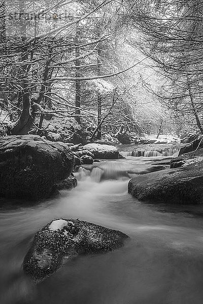 Schwarz-Weiß-Bild eines Flusses  der im Winter durch einen Wald fließt  Galty Mountains; County Tipperary  Irland