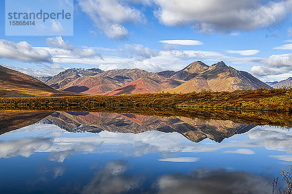 Die Herbstfarben beleben die Landschaft am Dempster Highway mit leuchtenden Farben  die sich spiegelbildlich in einem ruhigen See widerspiegeln; Dawson City  Yukon  Kanada