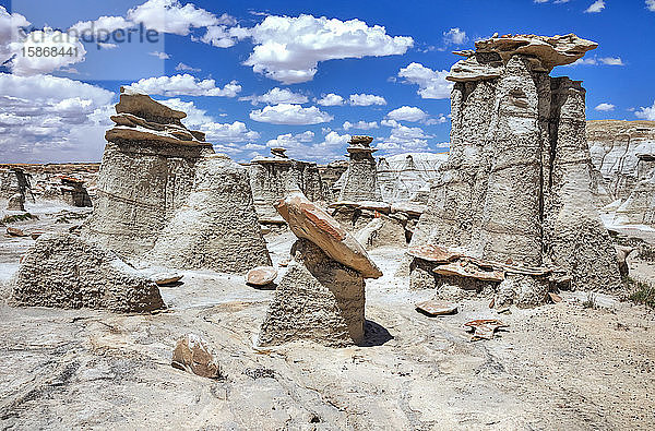 Einzigartige Felsformationen  Bisti Badlands  Bisti/De-Na-Zin Wilderness  San Juan County; New Mexico  Vereinigte Staaten von Amerika