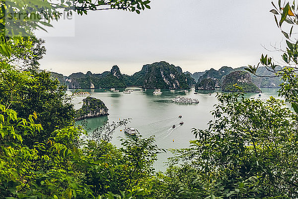 Ha Long Bay mit Booten; Provinz Quang Ninh  Vietnam