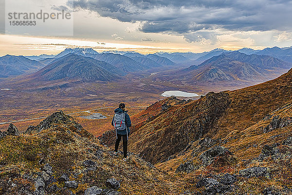 Frau erkundet die Berge entlang des Dempster Highway im Herbst; Yukon  Kanada