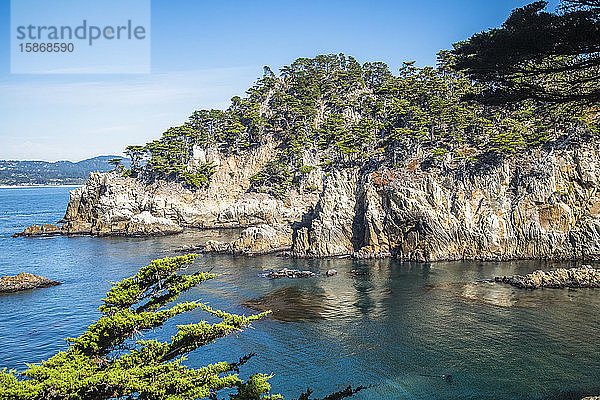 Baumbewachsene felsige Halbinsel und zerklüftete Küstenlinie im Point Lobos State Natural Reserve; Kalifornien  Vereinigte Staaten von Amerika