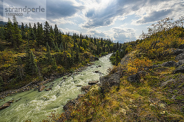 Tutshi River fließt nach Norden; Carcross  Yukon  Kanada