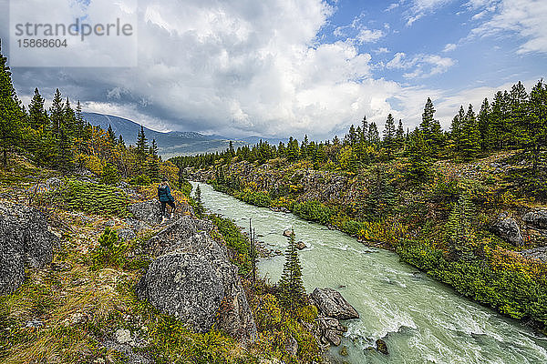 Eine Frau steht mit Blick auf den Tutshi River in der Nähe der Grenze zwischen Yukon und British Columbia; Yukon  Kanada