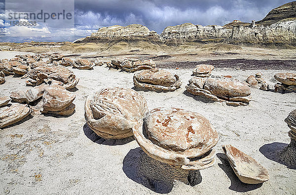 Einzigartige und gemusterte Felsoberflächen  Bisti Badlands  Bisti/De-Na-Zin Wilderness  San Juan County; New Mexico  Vereinigte Staaten von Amerika