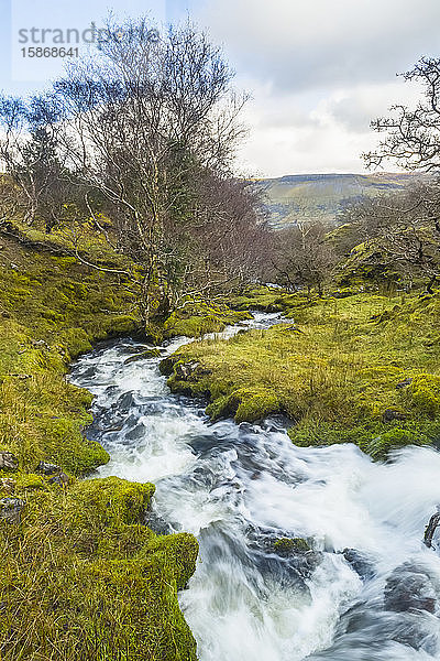 Ein schnell fließender Bach stürzt in Kaskaden durch ein grünes  von Bäumen umgebenes Tal; Eagles Rock  County Leitrim  Irland