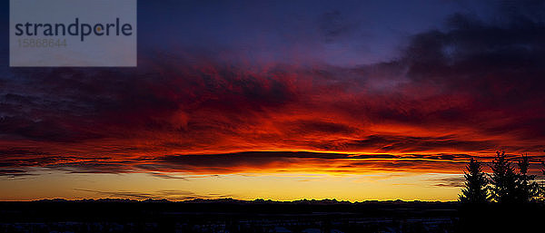 Dramatischer farbenfroher Himmel/Wolken bei Sonnenuntergang mit Baumsilhouette und Bergkette im Hintergrund; Calgary  Alberta  Kanada
