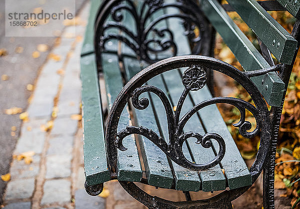 Dekorative Elemente auf der Armlehne einer Parkbank im Central Park  Manhattan; New York City  New York  Vereinigte Staaten von Amerika