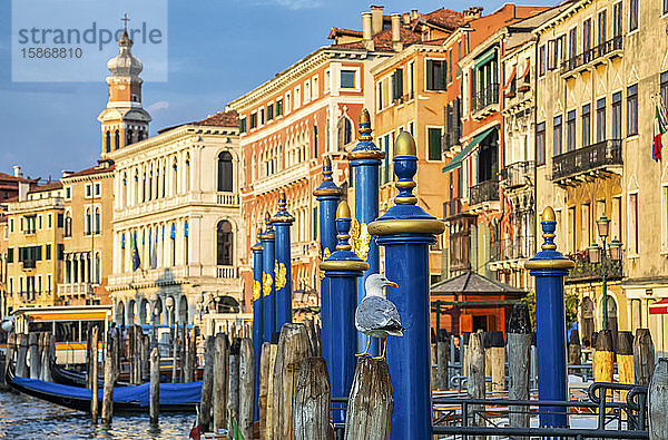 Farbenfrohe Architektur entlang des Canal Grande mit Gondeln  die am Ufer vertäut sind; Venedig  Italien