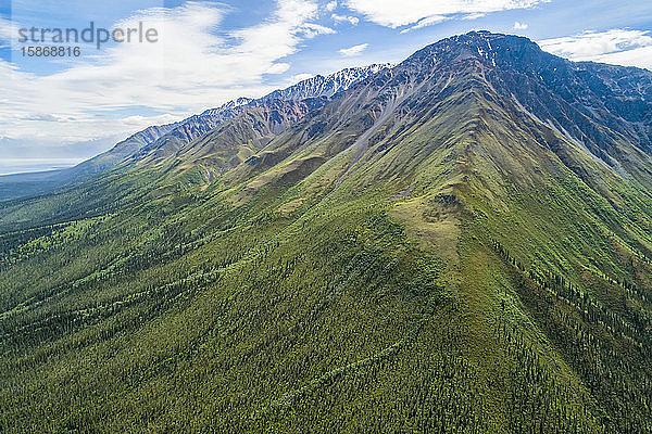 Die Berge bei Haines Junction im Sommer im Yukon; Haines Junction  Yukon  Kanada
