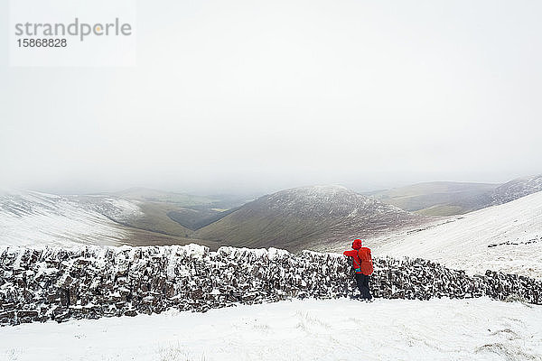 Wanderin mit Blick über eine alte Steinmauer auf dem Gipfel der Galty Mountains im Winter bei bewölktem  nebligem Wetter; County Tipperary  Irland