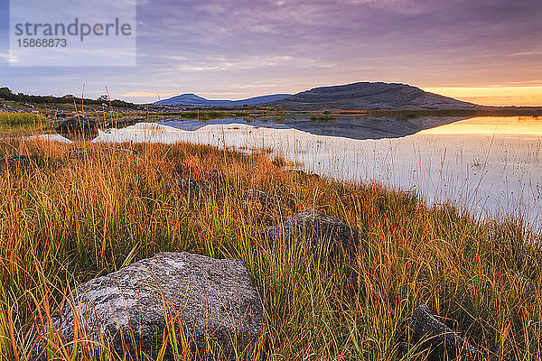 Kalksteinfelsen und langes Gras am Ufer eines Sees in den Burren mit einem kleinen Felsenberg in der Ferne  der sich bei Sonnenaufgang im See spiegelt  Burren National Park; County Clare  Irland