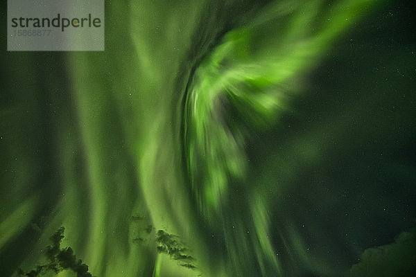 Aurora Borealis  das Nordlicht  erhellt den Nachthimmel über Yukon; Yukon  Kanada