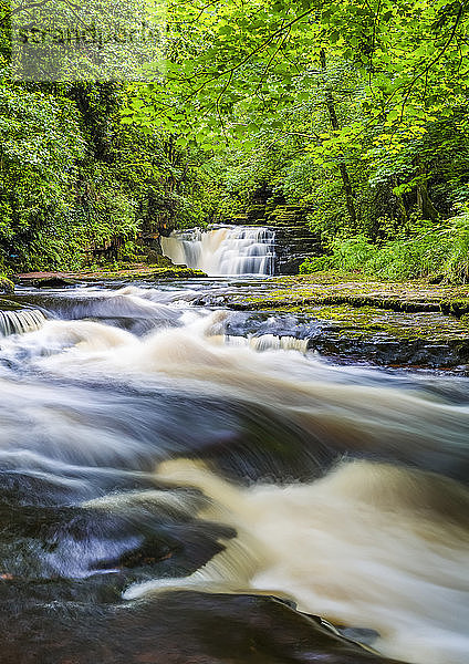 Fluss in einem Wald mit einem Wasserfall im Sommer  Langzeitbelichtung; Clare Glens  County Tipperary  Irland