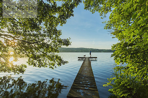 Mann und Hund auf einem Steg mit Blick auf einen See bei Sonnenaufgang im Frühling; Killaloe  Grafschaft Clare  Irland