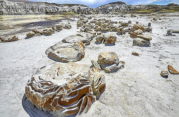 Einzigartige und gemusterte Felsoberflächen  Bisti Badlands  Bisti/De-Na-Zin Wilderness  San Juan County; New Mexico  Vereinigte Staaten von Amerika