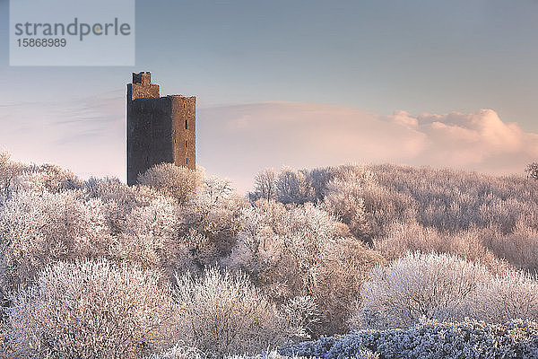 Kilworth Castle  eine alte Burgruine mit Blick auf einen schneebedeckten Wald im Winter bei Sonnenaufgang; Kilworth  Grafschaft Cork  Irland