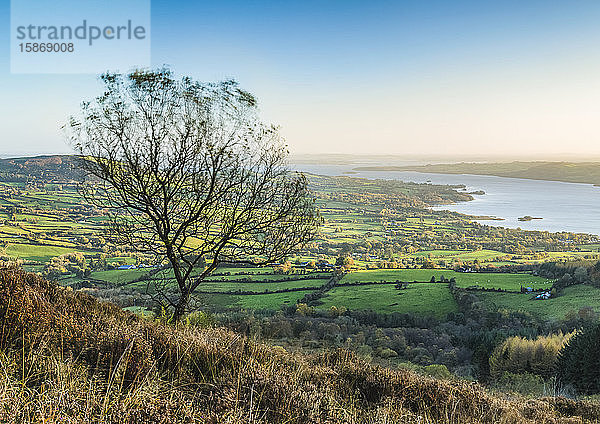 Kahler Baum  der im Wind weht  an einem Berghang mit Blick auf grüne Felder und einen See im Winter; Killaloe  Grafschaft Clare  Irland
