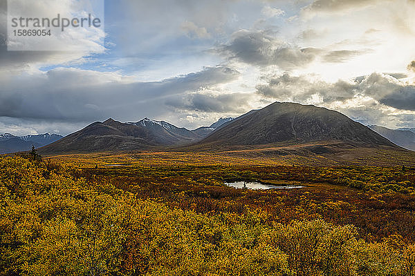 Die Herbstfarben tauchen die Landschaft entlang des Dempster Highway  Yukon  in Farbe. Ein erstaunlicher  schöner Ort zu jeder Jahreszeit  aber im Herbst wirkt er ganz anders; Yukon  Kanada