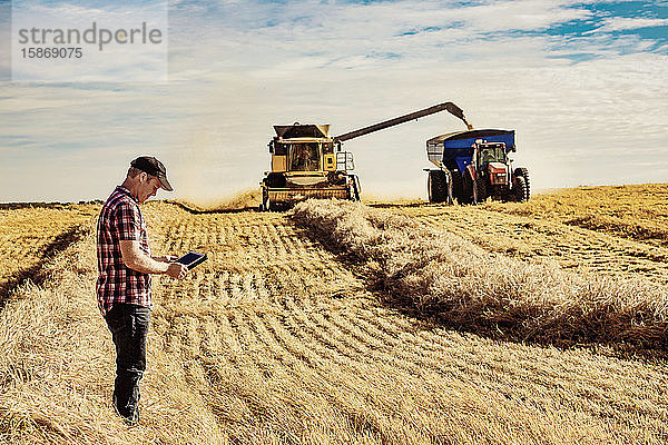 Ein Landwirt nutzt sein Tablet  um die Weizenernte zu steuern  während ein Mähdrescher eine volle Ladung Getreide in einen Getreidewagen entlädt: Alcomdale  Alberta  Kanada