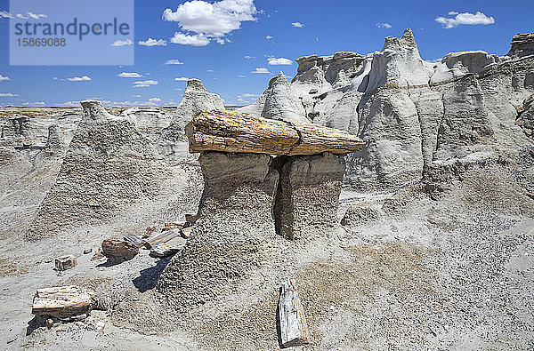 Felsformationen und versteinertes Holz  Bisti Badlands  Bisti/De-Na-Zin Wilderness  San Juan County; New Mexico  Vereinigte Staaten von Amerika