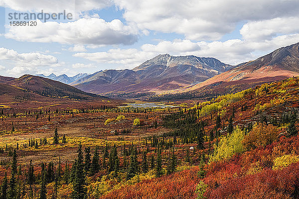 Herbstfarben lassen die Landschaft am Dempster Highway in leuchtenden Farben erstrahlen; Dawson City  Yukon  Kanada