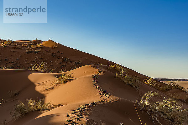 Silhouettierter Tourist steht auf dem Gipfel einer Sanddüne  Elim-Düne  Namib-Wüste; Sesriem  Namibia