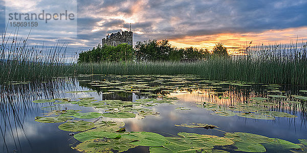 Kleine Burg auf einer Insel im Lough Derg bei Sonnenaufgang im Sommer mit Seerosenblättern  die im Vordergrund auf dem See schwimmen; Scariff  Grafschaft Clare  Irland