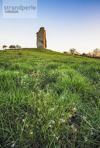 Alte Burg auf einem Hügel in einem Grasfeld mit kleinen weißen Blumen; Clonlara  Grafschaft Clare  Irland