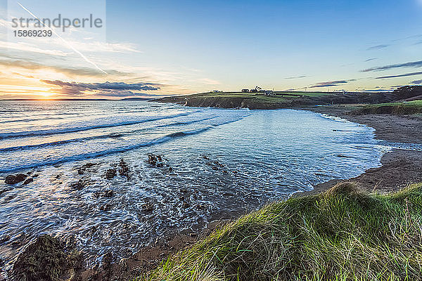 Sommersonne  die über der Bucht von Inch Beach untergeht  mit Wellen  die im Meer brechen  und Gras im Vordergrund; Grafschaft Cork  Irland