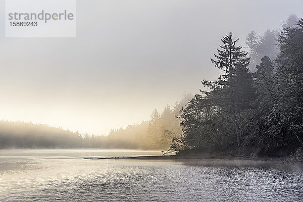 Nebel  Brise und Sonnenlicht sorgen für eine neblige Szene im Fort Stevens State Park an der Küste von Oregon; Hammond  Oregon  Vereinigte Staaten von Amerika