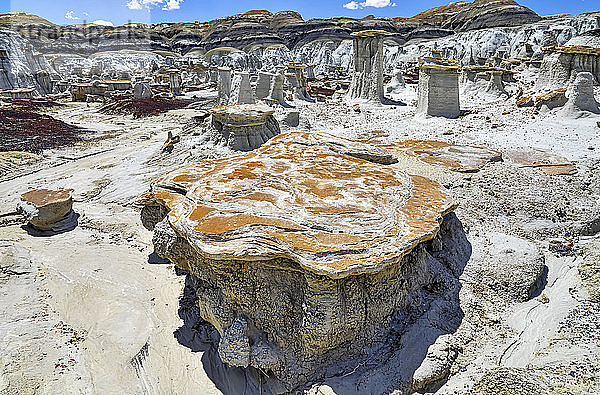 Einzigartige und gemusterte Felsoberflächen  Bisti Badlands  Bisti/De-Na-Zin Wilderness  San Juan County; New Mexico  Vereinigte Staaten von Amerika