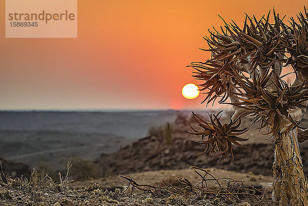 Sonnenaufgang im Hardap Resort; Hardap Region  Namibia