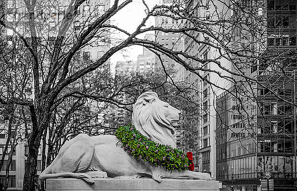 Kranz zum Veteranentag  drapiert auf dem Hals einer Löwenskulptur im November in Manhattan mit dem Bild in Schwarz-Weiß  außer dem farbigen Kranz; New York City  New York  Vereinigte Staaten von Amerika