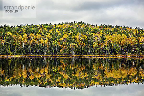 Schöne Wasserspiegelung der Herbstfarben am Swamper Lake. Der Swamper Lake liegt am Gunflint Trail in Nord-Minnesota; Minnesota  Vereinigte Staaten von Amerika