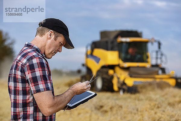 Ein Landwirt inspiziert eine Weizenernte und nutzt sein Tablet  um die Weizenernte zu steuern  während im Hintergrund ein Mähdrescher arbeitet: Alcomdale  Alberta  Kanada