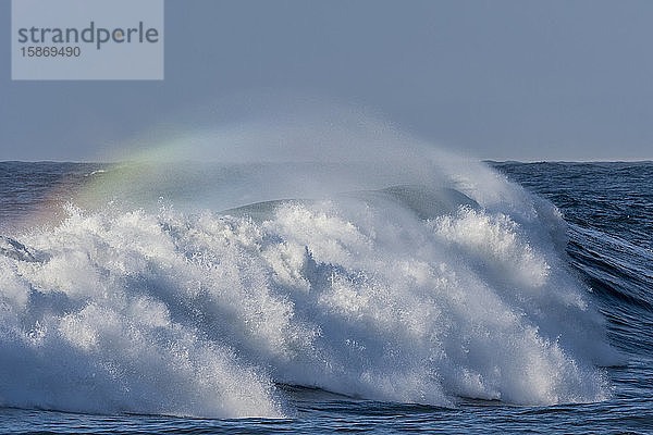 Eine sich schnell bewegende Welle trägt einen Gischtbogenhalo an der Küste von Oregon; Seaside  Oregon  Vereinigte Staaten von Amerika
