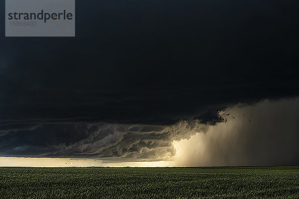 Dramatischer Himmel über den Ebenen des Mittleren Westens der Vereinigten Staaten während der Tornadosaison. Erstaunliche Wolkenformationen zeigen die Kraft und Schönheit von Mutter Natur; Nebraska  Vereinigte Staaten von Amerika