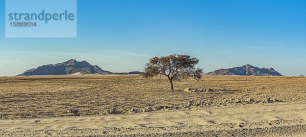 Namib-Naukluft-Nationalpark; Namibia