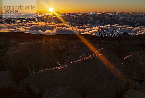 Goldener Sonnenaufgang über den Wolken  East Maui Volcano (Haleakala) bei Sonnenuntergang  Maui  Hawaii  Vereinigte Staaten von Amerika