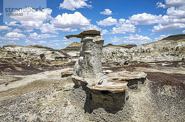 Einzigartige Felsformationen  Bisti Badlands  Bisti/De-Na-Zin Wilderness  San Juan County; New Mexico  Vereinigte Staaten von Amerika