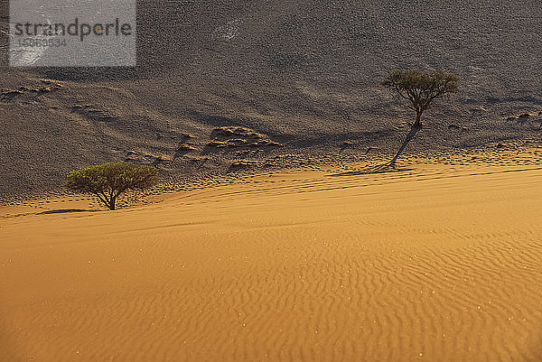 Blick von der Düne 45  Sossusvlei  Namib-Wüste; Namibia