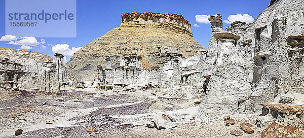 Einzigartige Felsformationen  Bisti Badlands  Bisti/De-Na-Zin Wilderness  San Juan County; New Mexico  Vereinigte Staaten von Amerika