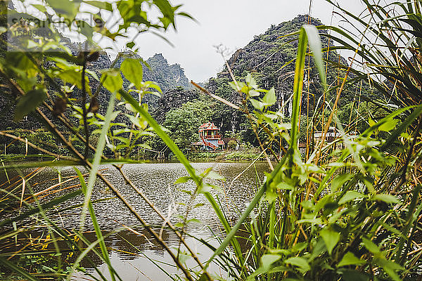 Haus und Laub entlang des Roten Flusses  Rotes Flussdelta; Ninh Binh  Vietnam
