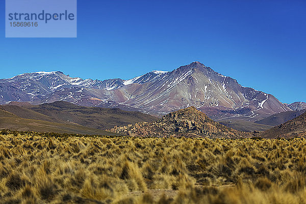 Altiplano-Landschaft; Potosi  Bolivien