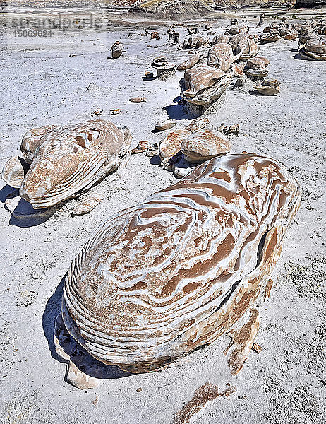 Einzigartige und gemusterte Felsoberflächen  Bisti Badlands  Bisti/De-Na-Zin Wilderness  San Juan County; New Mexico  Vereinigte Staaten von Amerika