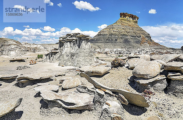 Einzigartige Felsformationen  Bisti Badlands  Bisti/De-Na-Zin Wilderness  San Juan County; New Mexico  Vereinigte Staaten von Amerika