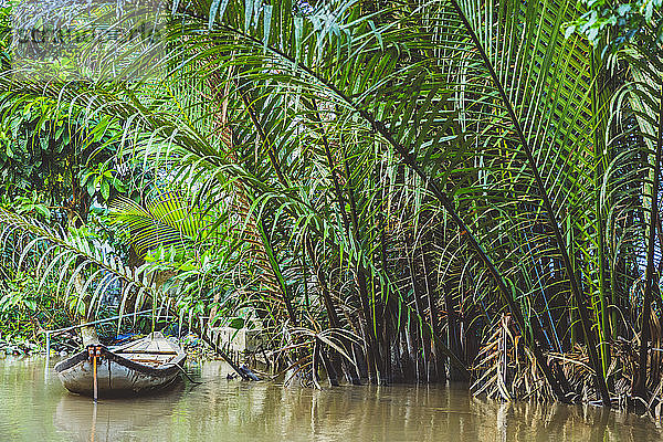 Boot auf dem Fluss entlang des Ufers mit üppigen Wedeln  Mekong-Flussdelta; Vietnam